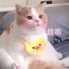 ttttt