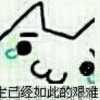 123