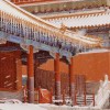 大大大