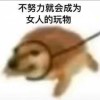 aaaa