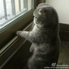 郁闷的马哥