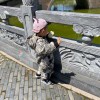 多看看打卡