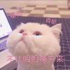 尽言