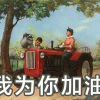 会飞的鱼