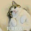 wuwuwu