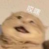 321