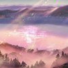 减肥的是想吃