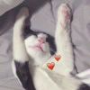 lp绿