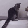 aaaaaaaa