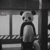 伊天