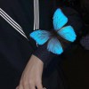 藏族自治州aa