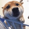 时间简史